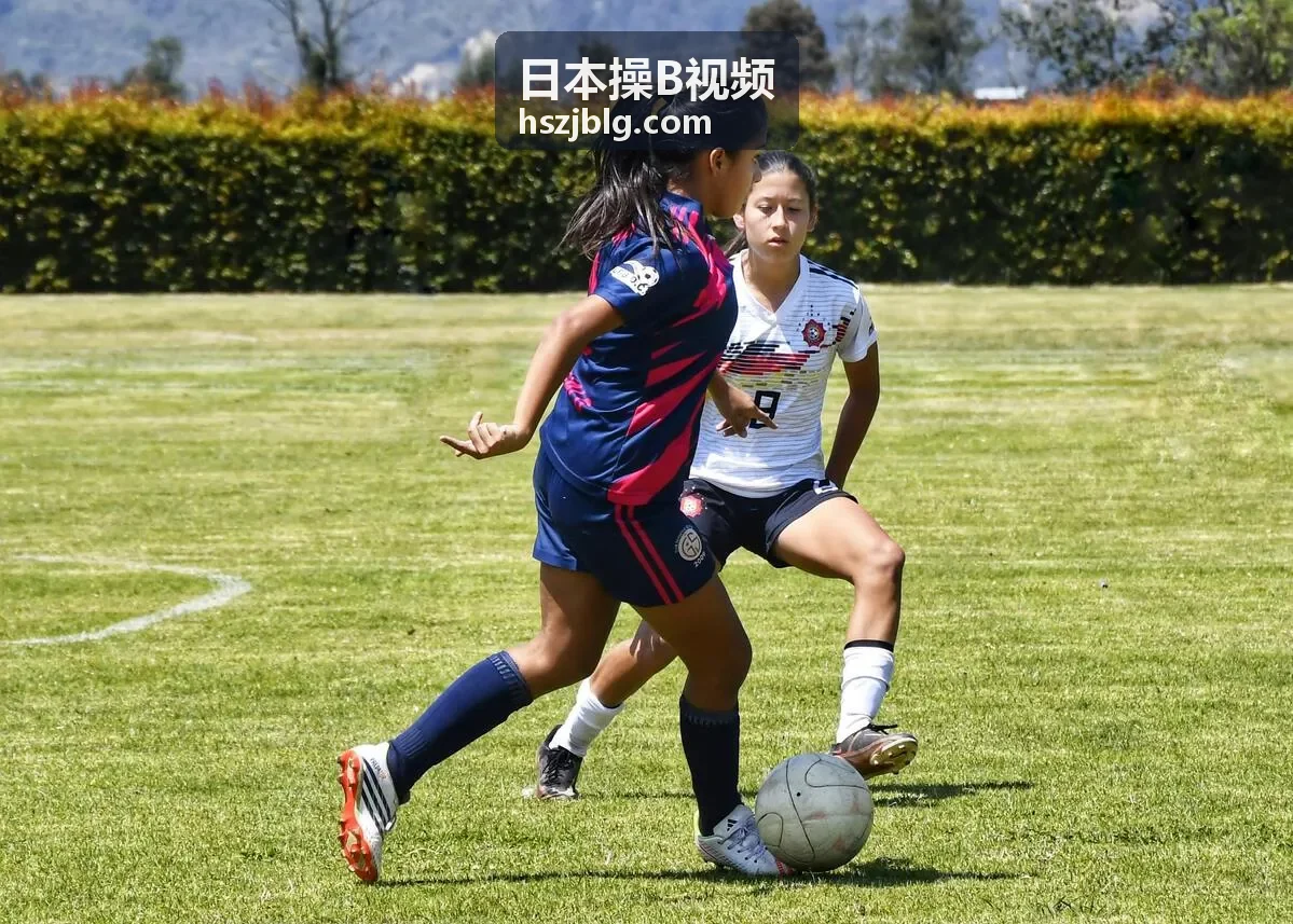 日本操B视频内容分级与安全访问提示
