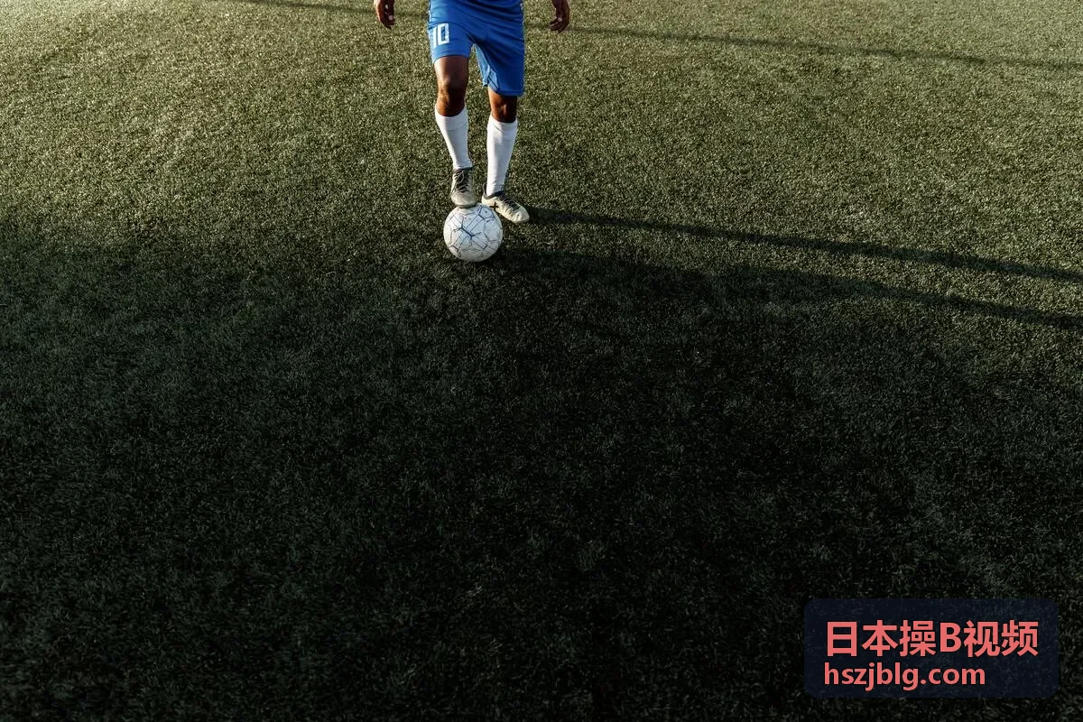 日本操B视频隐私保护说明